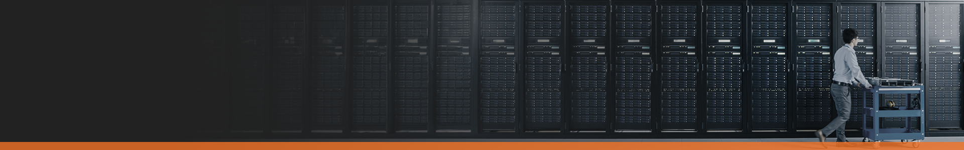 WAN router consolidation